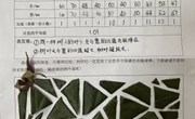 走进自然，解码树叶 ——记苏州工业园区唯亭学校六年级数学学科素养活动